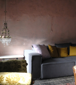 Palmento Miloagriproduction